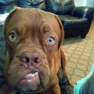 Meet your Posher, Andrea