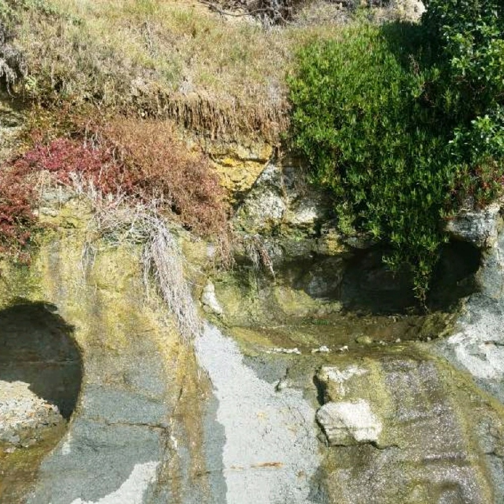 Meet your Posher, Gina