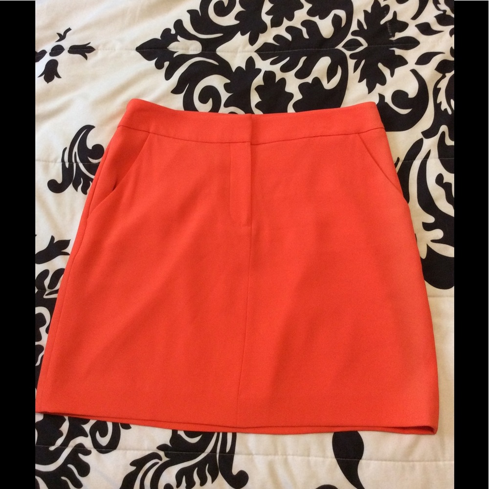 Ann Taylor Skirt