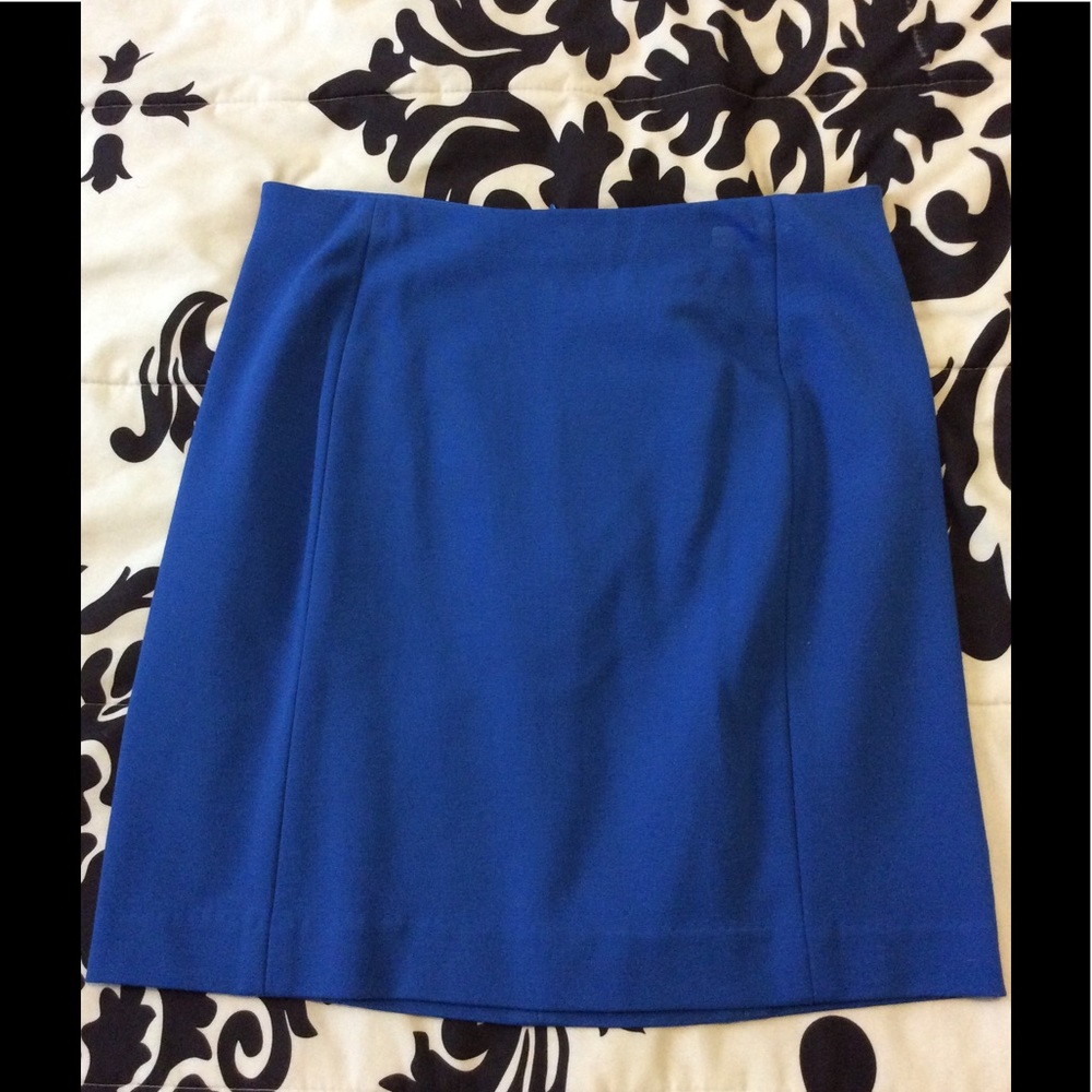 Ann Taylor Skirt