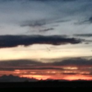 Meet your Posher, Rita