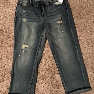 NWT Maurices Size 18 Boyfriend Cut Jeans