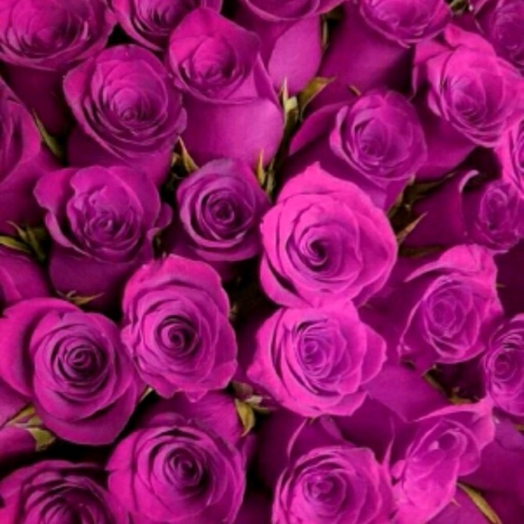 Meet your Posher, Cordell - Picture 1 of 1