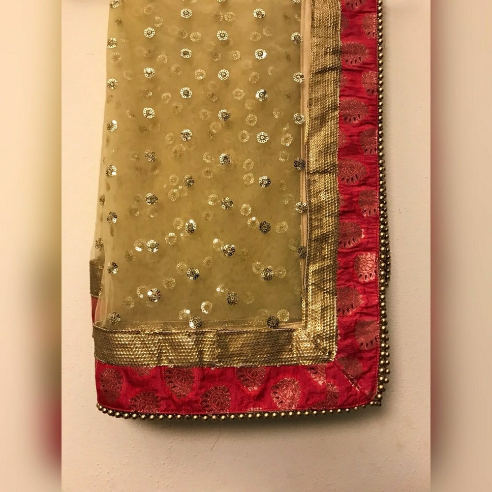 Ethnic scarf / chunni