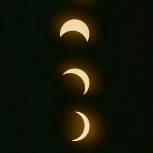 Meet your Posher, Brigitte