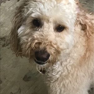 Meet your Posher, Kay