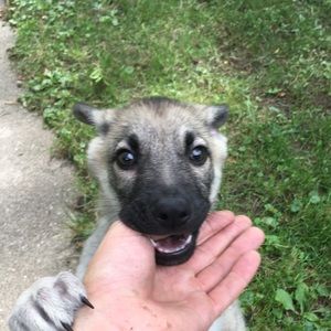 Meet your Posher, Jake