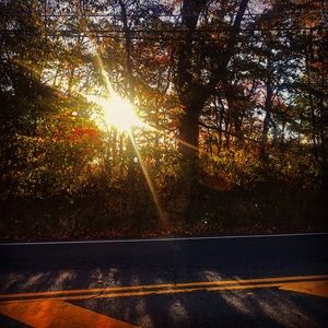 Meet your Posher, Alexa