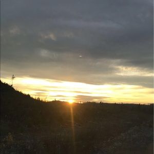 Meet your Posher, Dawn