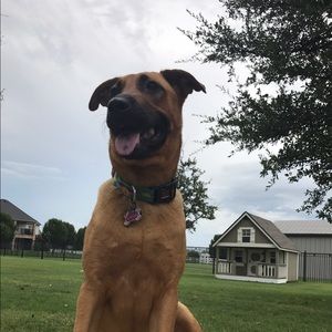 Meet your Posher, Cady