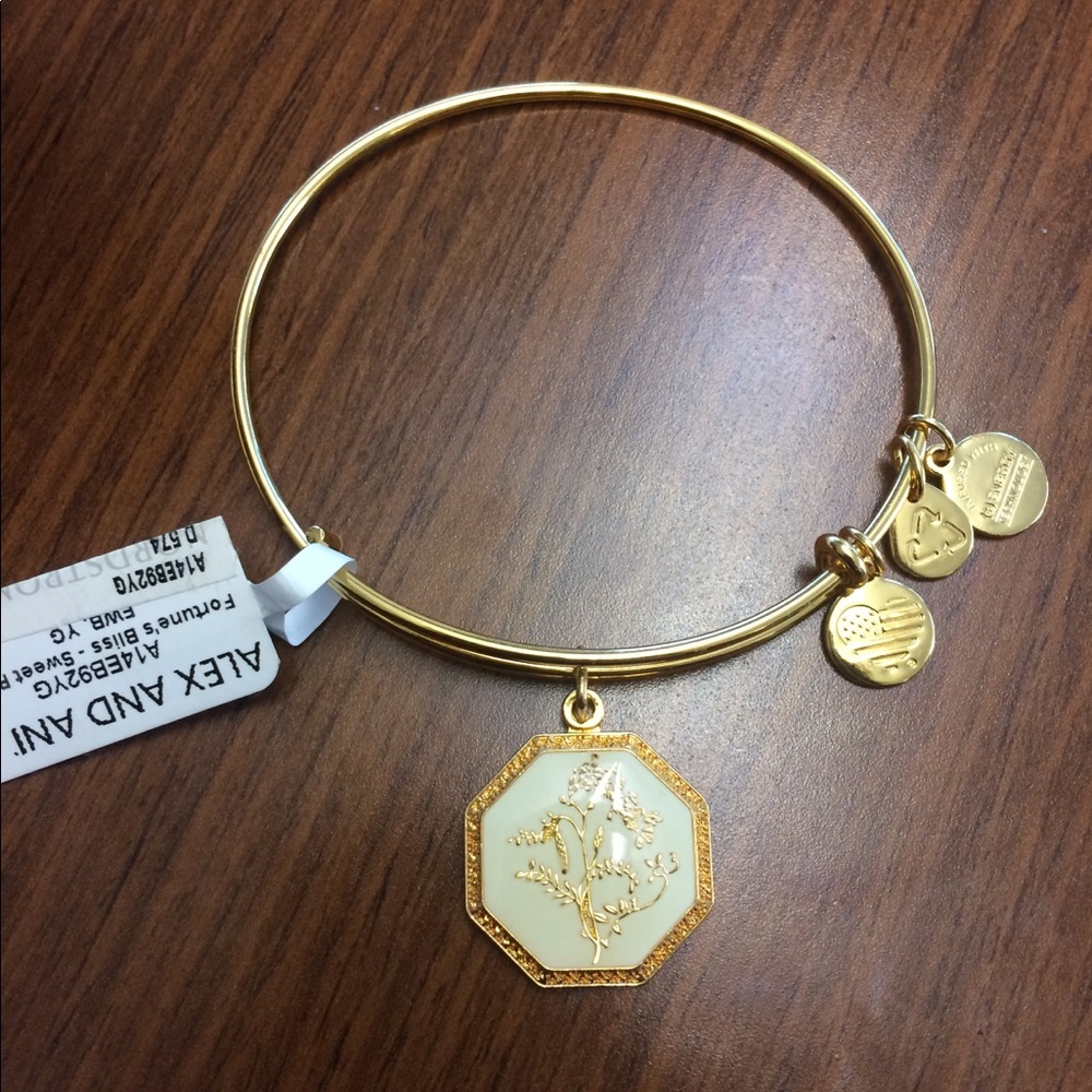 Alex and Ani Bracelet