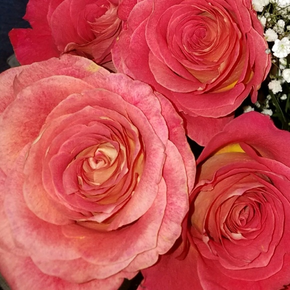 Meet your Posher, Briana - Picture 1 of 1