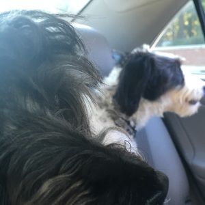 Meet your Posher, Najeel