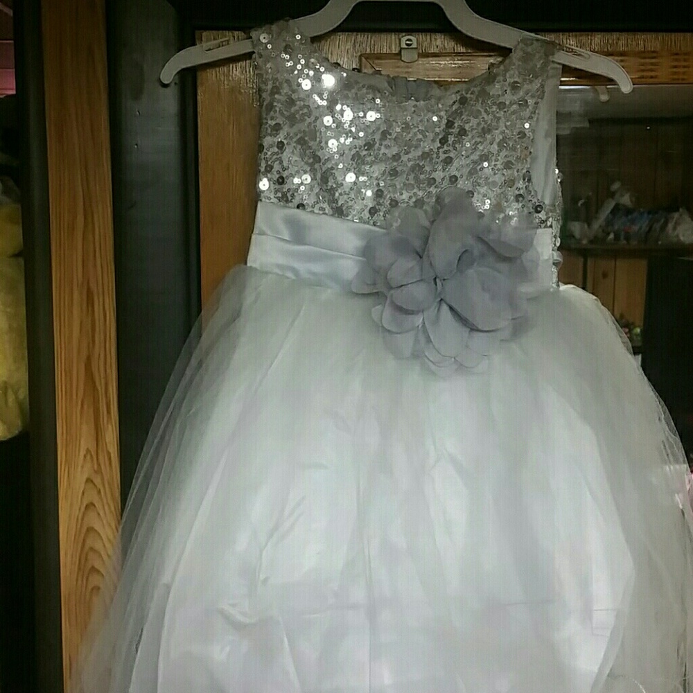 Silver Sequined Bodice w/ Double Layered Mesh Dres