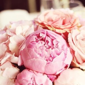 Meet your Posher, Dawne