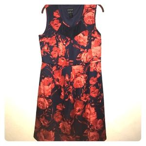Beautiful navy blue dress with red roses.
