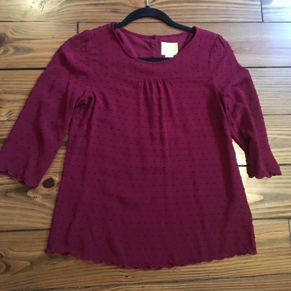 Anthropology top