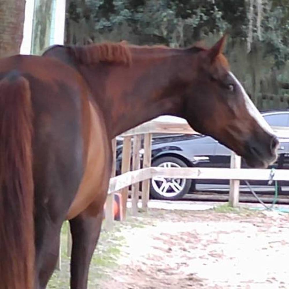 Meet your Posher, Kelly