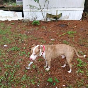 Meet your Posher, Arthur