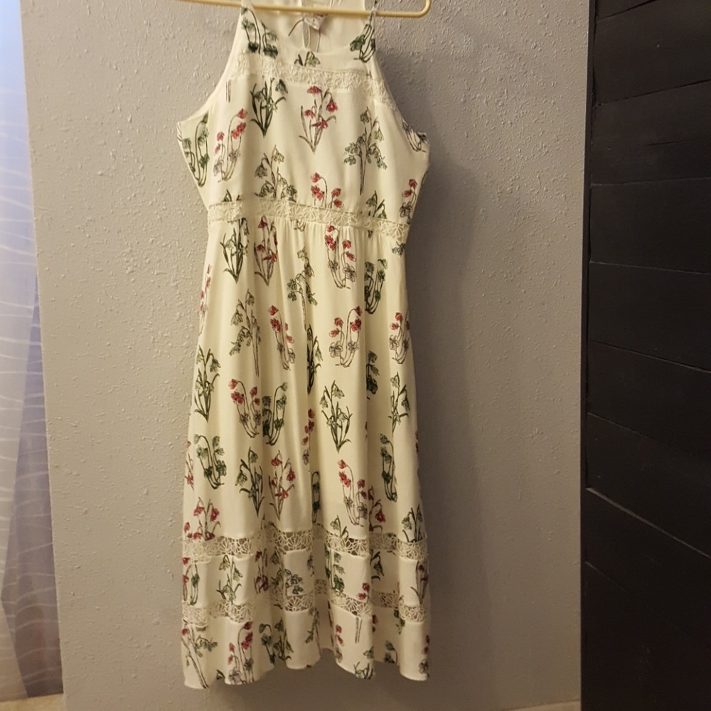 Lauren Conrad  floral Alice in Wonderland dress