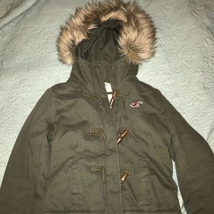 Hollister coat