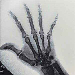 Meet your Posher, Malu