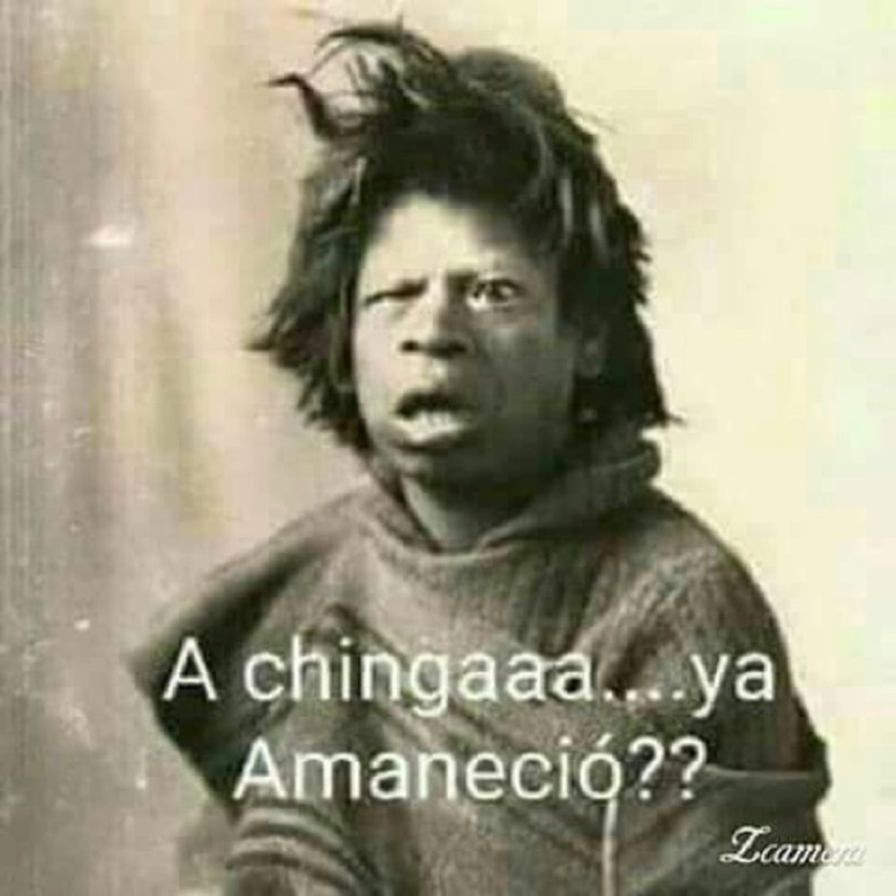 Meet your Posher, Claudia