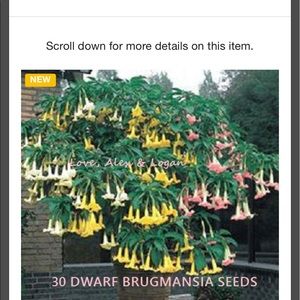 Meet your Posher, Vu