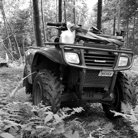 Meet your Posher, Jason - Picture 1 of 1