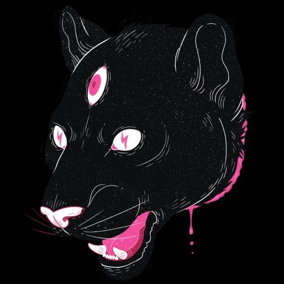 Meet your Posher, Finn - Picture 1 of 1