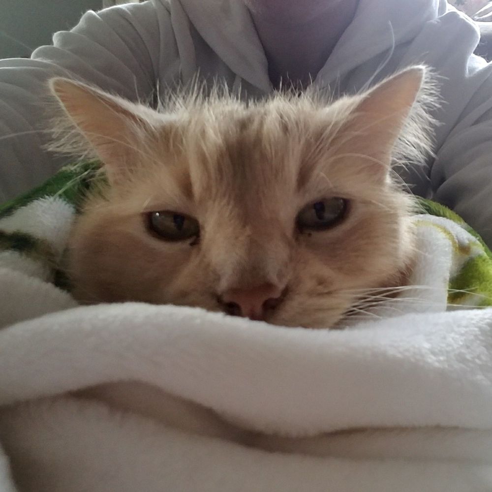 Meet your Posher, Bobbie