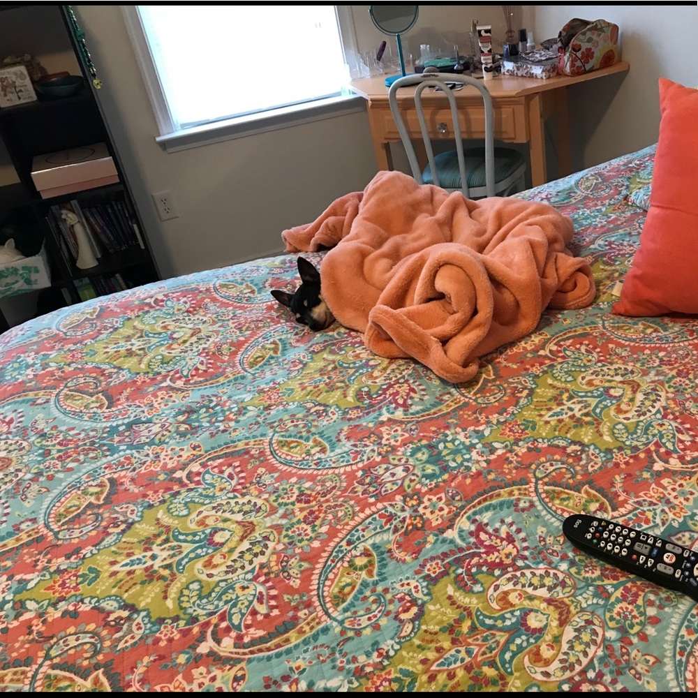 Meet your Posher, Kayla