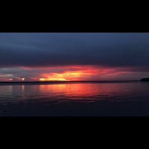 Meet your Posher, Jerry