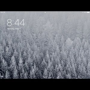 Meet your Posher, Dashawn