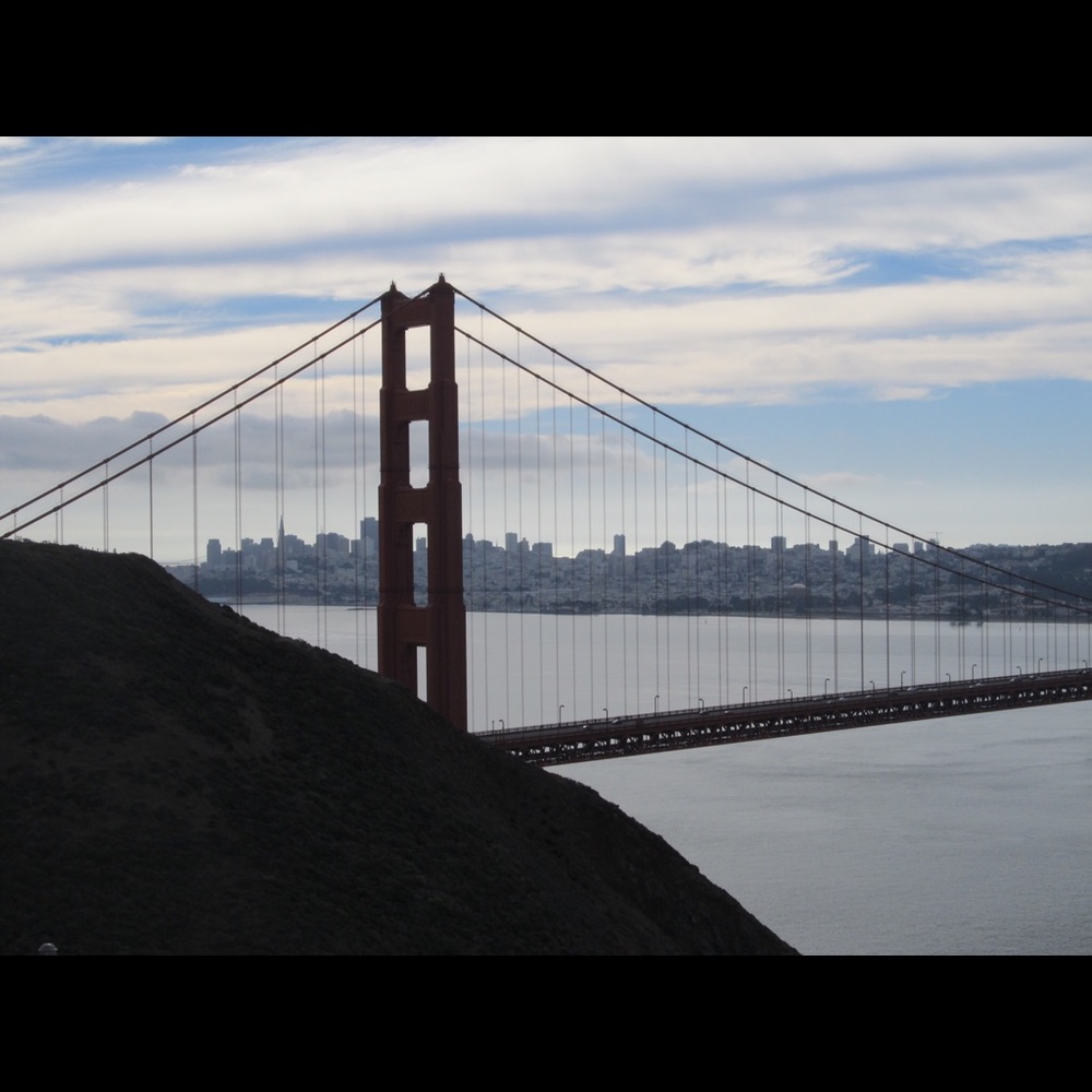 Meet your Posher, Elly