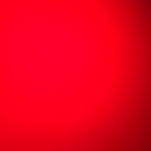 Meet your Posher, Ernesto