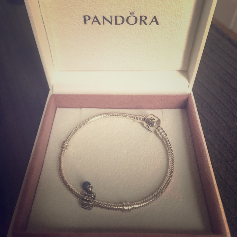 Pandora charm bracelet
