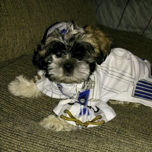 Meet your Posher, Lakoya