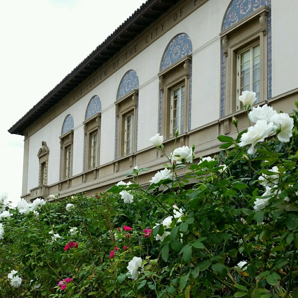 Meet your Posher, Rock