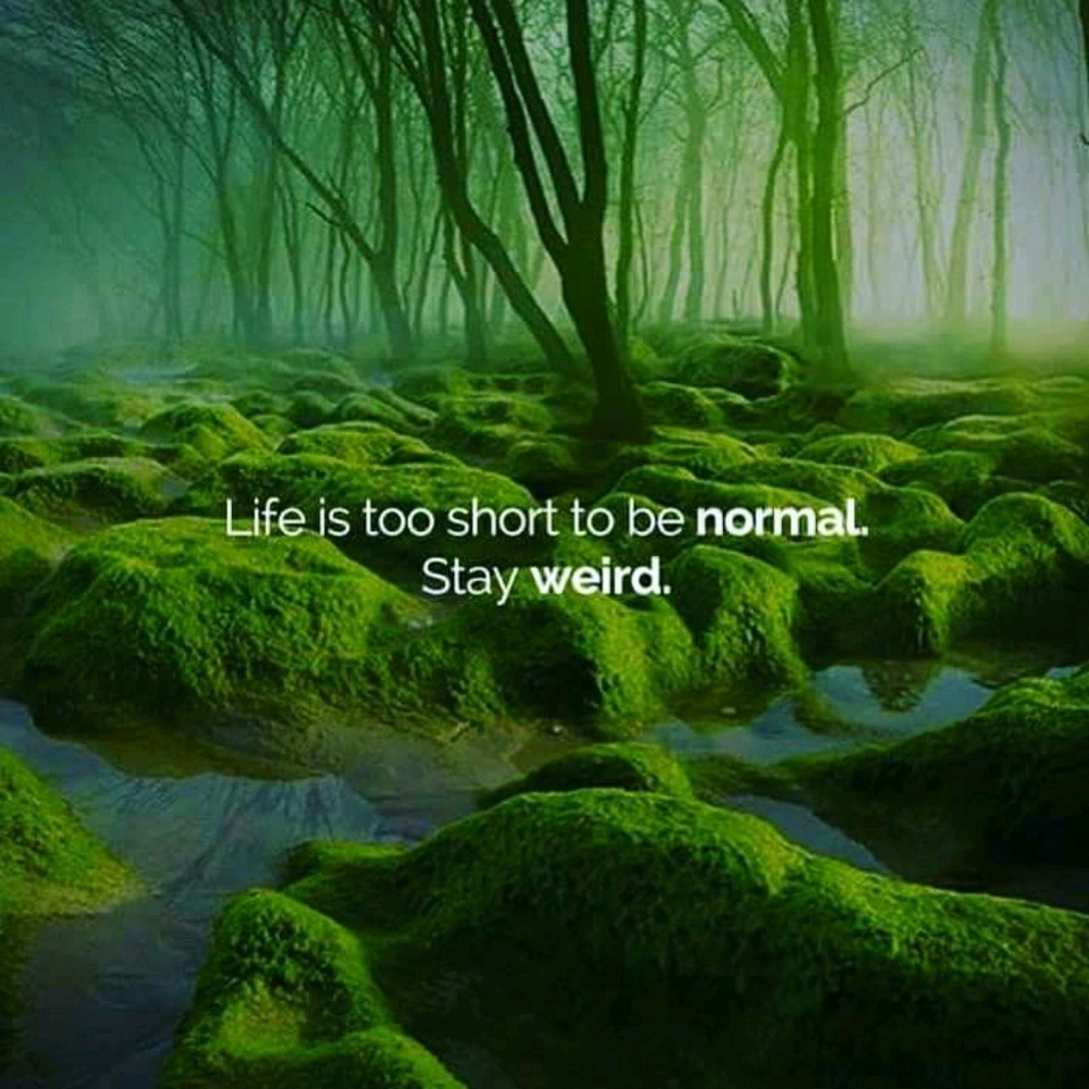 Meet your Posher, Yolanda