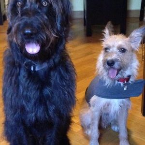 Meet your Posher, Tara