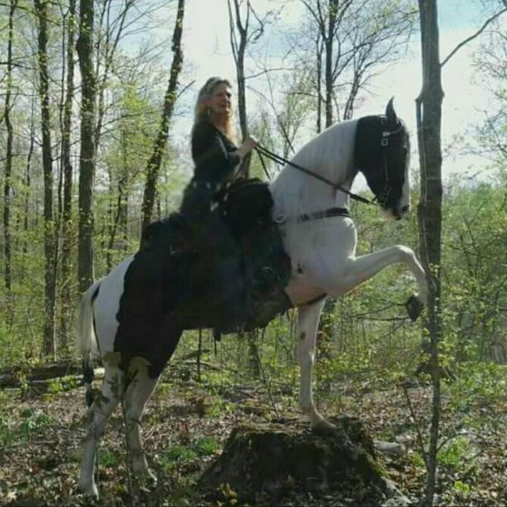 Meet your Posher, Freda