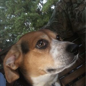 Meet your Posher, Julie