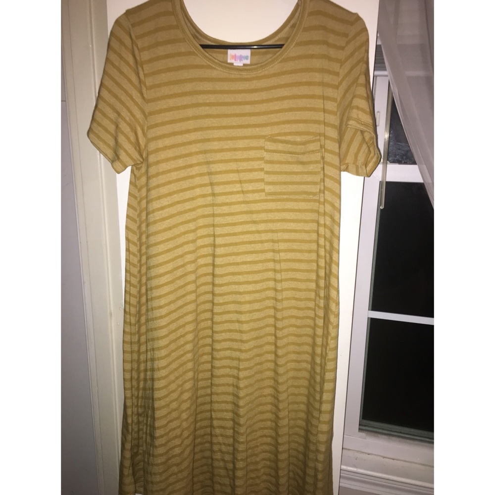 Small LulaRoe Carly