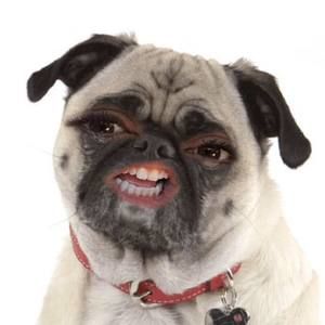 Meet your Posher, Latisha