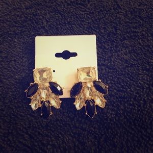 Black and Diamond Feather Style Earrings