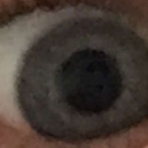 Meet your Posher, Askew