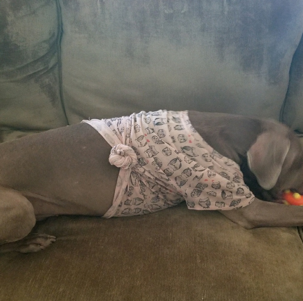 Meet your Posher, Kristen