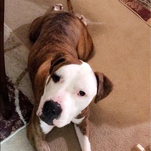 Meet your Posher, Jasmine