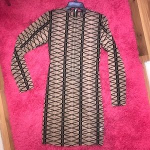 Mesh Bodycon  dress